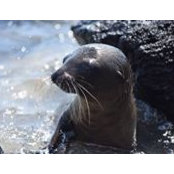Andrew Matarese's photo