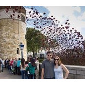 Jenny Lesser's photo
