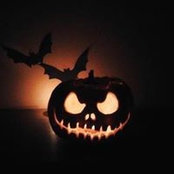 Pam VanHollenbeck's photo