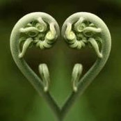Photo de Deborah Carr