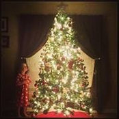 Stefanie Riley's photo