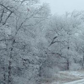 Madis Wagner's photo
