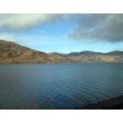 Joanne Coe's photo