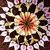 Foto von Marianna Erickson