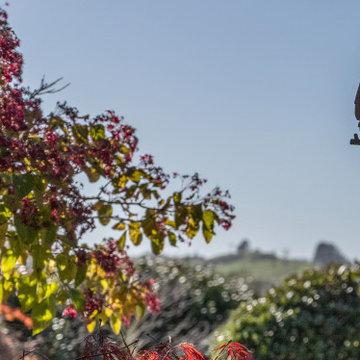 Central Ruru Retreat