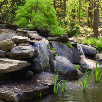 Pools & Ponds