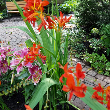Four seasons in the garden (Glebe house in Ottawa)
