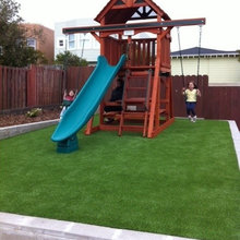 Landscape Ideas