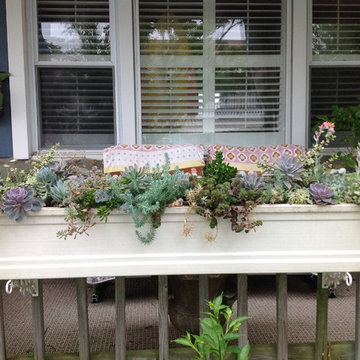 Container Gardens