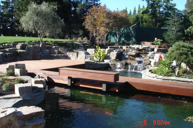 Photo of a traditional garden in Sacramento.