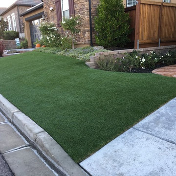 Contemporary Front Yard Installation