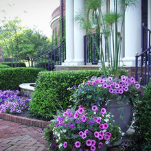 Flower Pots