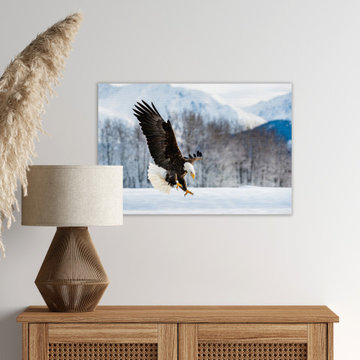 Adult Bald Eagle and Alaskan Winter Animals and Wildlife Artwork