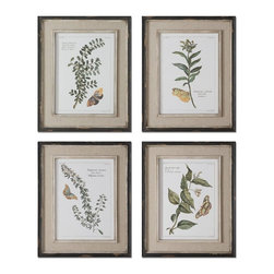 www.essentialsinside.com: butterfly plants framed wall art, set of 4 - Artwork