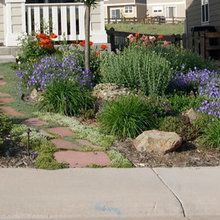 Xeriscaping Front Yard