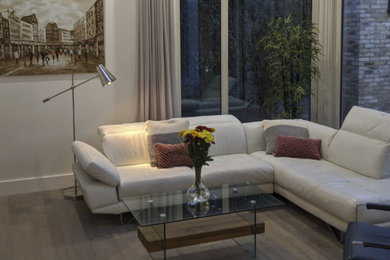 This is an example of a modern living room in Dublin.