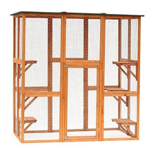 Cat items For New Place
