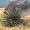 Desert Steel Yucca Plant Landscape Sculpture