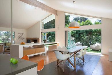 Kitchen/dining room combo - large contemporary medium tone wood floor kitchen/dining room combo idea in San Francisco with white walls and a standard fireplace