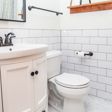 Master & Common Bath Remodel in Park Ridge