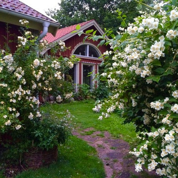 Husdrömmar