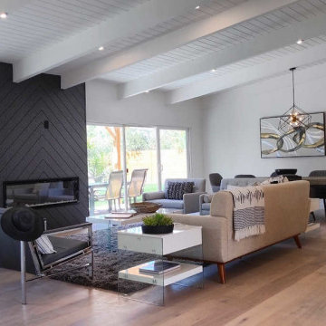 Contemporary Elevated in Woodland Hills