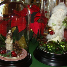 Bell jar/Cloche