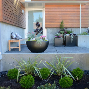 Contemporary Seaside Garden