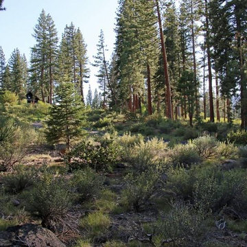 Lot for Sale - 307 James McIver, Lahontan Subdivision