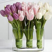 Betty Schoemaker's photo