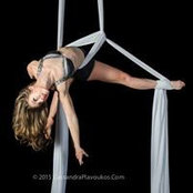 Teresa Liccardo's photo