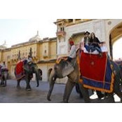 Javier Alcantara's photo
