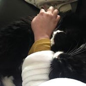 Shannon Gorner's photo
