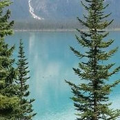 Jera Collinge's photo