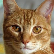 Cherry Talsma's photo