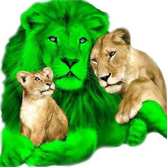 Green Lion Lawn Care LLC
