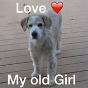 Lisa Biagi-Izzo's photo