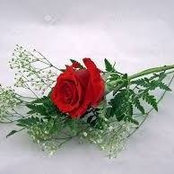 Virginia Trotta's photo
