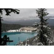 Pam Gillaspey's photo