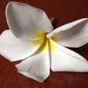 Mary Bauer's photo