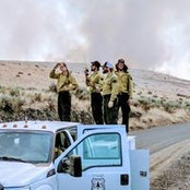 Jess Klein's photo