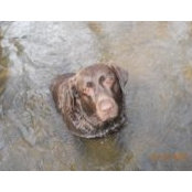 Karen McAfee's photo