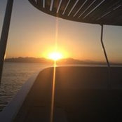 Foto von Maike Jörck