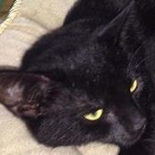 Lara Ervin's photo