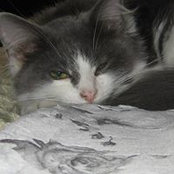 Marianne Egan's photo