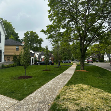Regal® Prince Oak