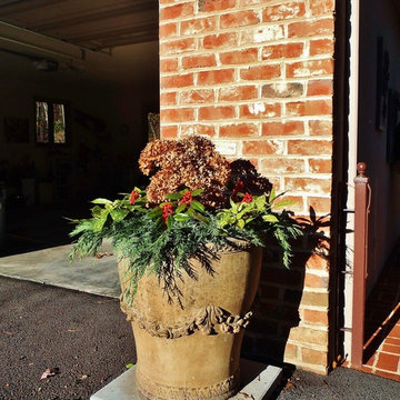 Seasonal Planter Arrangements
