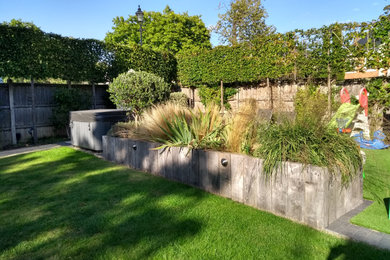 Design ideas for a contemporary garden in Surrey.