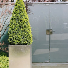 Potted Plantings