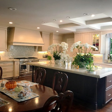 Kitchen Remodel/Renovation